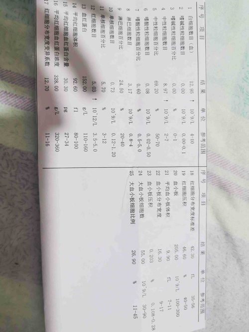 絮凝剂絮凝效果实验