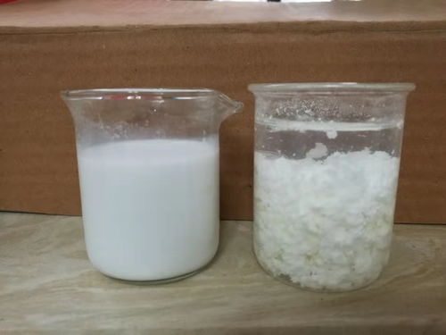 水处理药剂生产十大厂家全球
