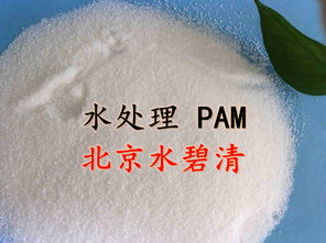 聚丙烯酰胺实验报告