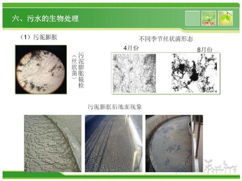污水处理消毒剂有哪些