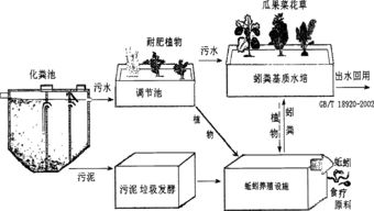 污水处理生物菌怎么培养