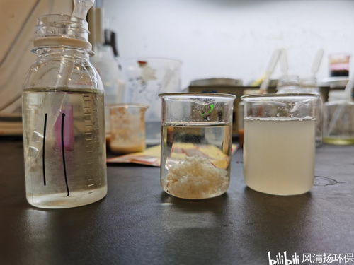 辽宁涂料废水处理
