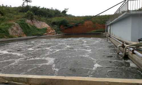 田阳养殖废水处理