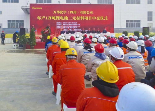 三元材料811是什么意思