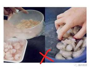 液氮技术在海鲜速冻的应用