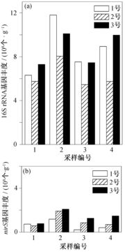山东新型复合碳源厂家