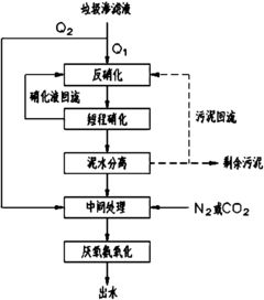 去除总氮需要多少碳源