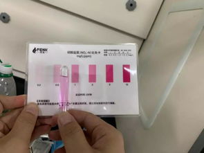 云南专业复合碳源优选企业