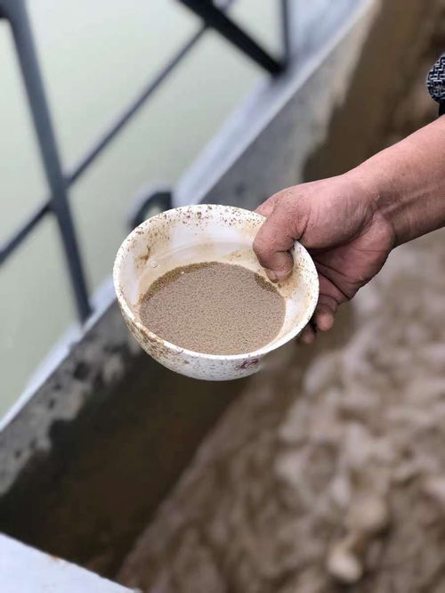 聚合氯化铝在污水处理的作用