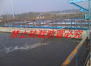工业废水中重金属的处理方法