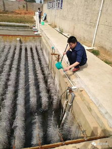 10万吨污水处理厂投资