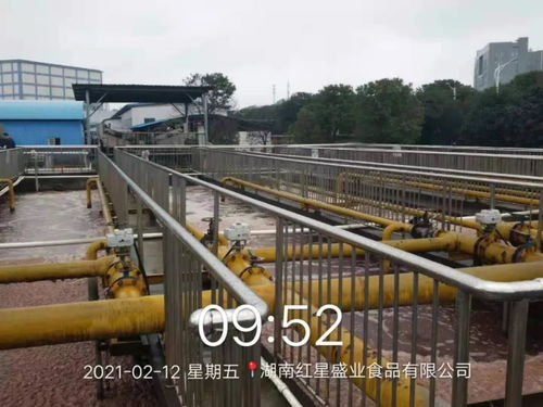屠宰废水处理工程
