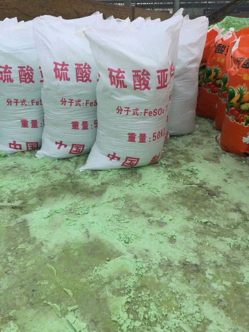 溴水碘水分别与FeSO4反应