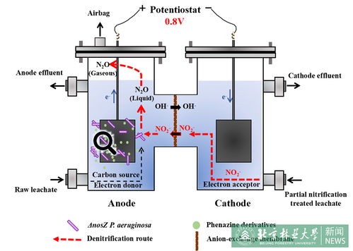 云南电化学氨氮废水处理设备
