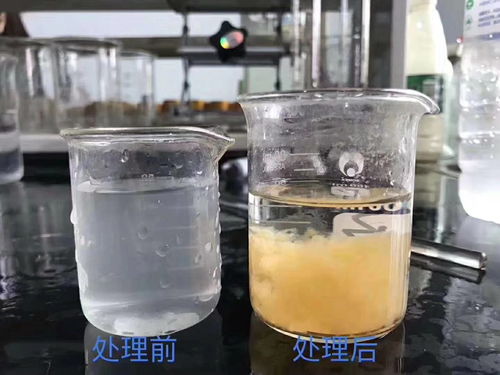 污水沉淀絮凝剂