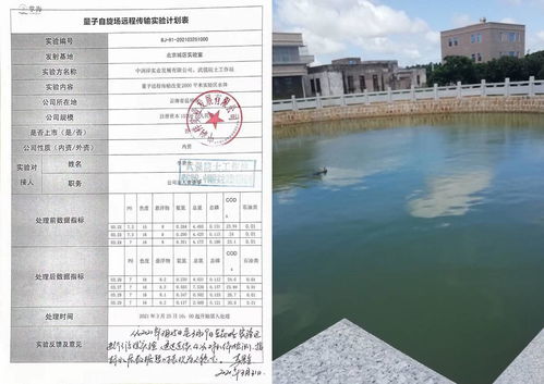 氨氮去除剂多少钱一吨