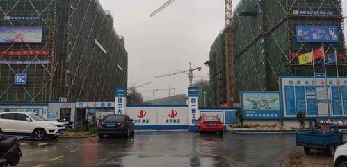 吴忠复合碳源哪家好
