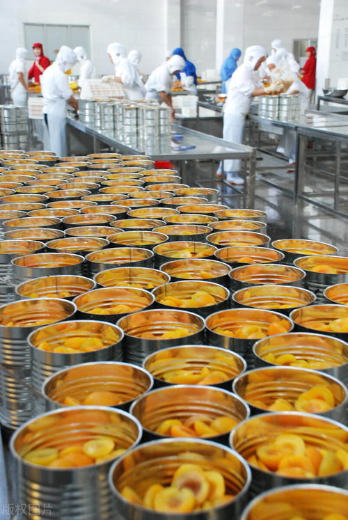 食品厂废水处理工艺流程图