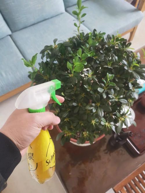 硫酸亚铁 严禁用自来水稀释