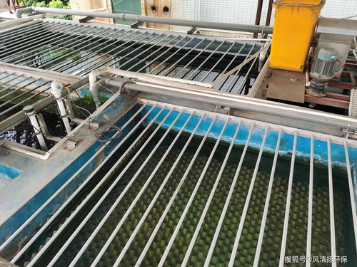 污水处理常用4种药剂的作用