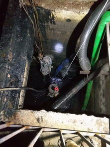 萧山污水处理厂中标公告