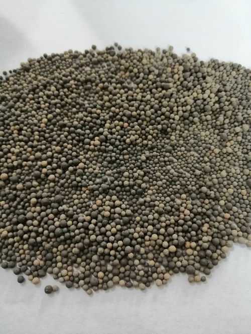 南平污水处理厂工程招标