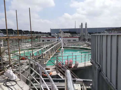 定西钢厂污水处理药剂招标公告