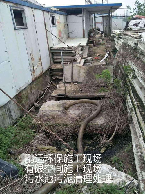 衢州污水处理药剂报价单查询