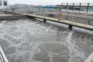 临江污水处理药剂厂地址