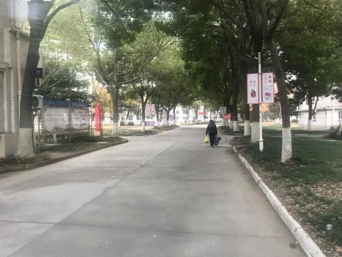 张家港哪里有招污水处理工程师