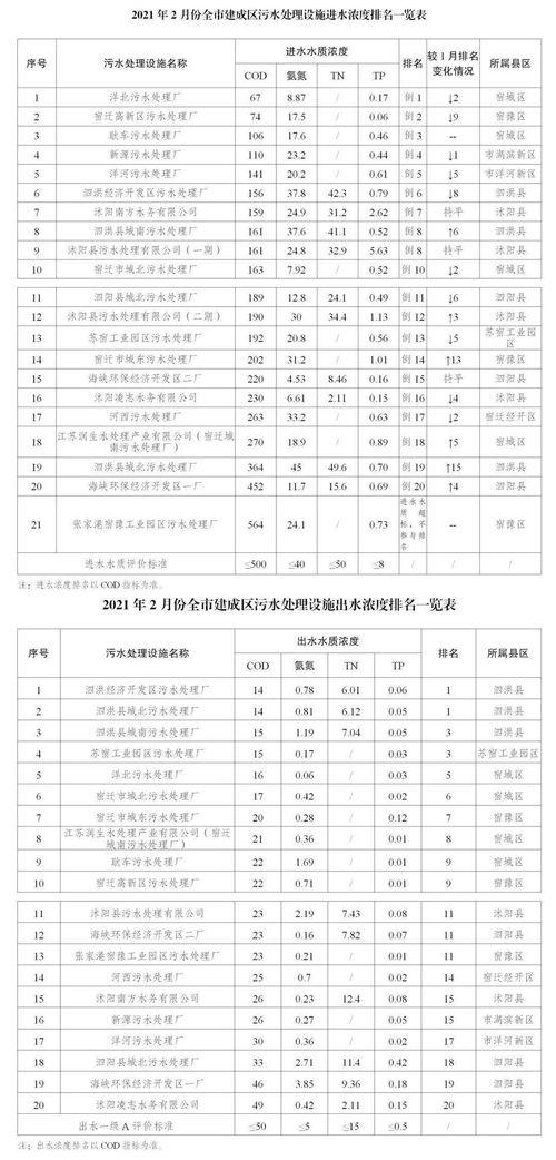 污水处理药剂出入库记录表