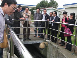 路桥污水处理药剂招标公告