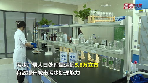 污水处理厂药剂采购实施方案