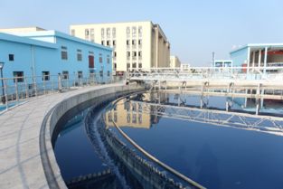 湖州城市污水处理药剂厂招聘
