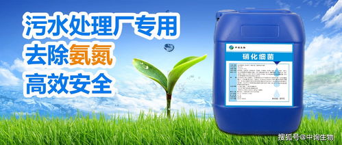 应城污水处理净化药剂采购