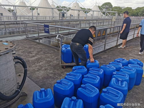 污水处理厂氨氮是什么意思