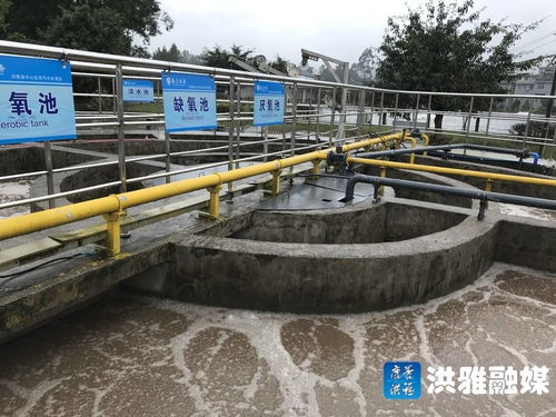 生活污水处理站用什么药剂最好