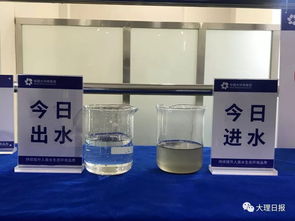 秦安污水处理厂药剂招标