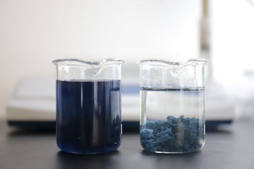 盘州污水处理药剂招标公告