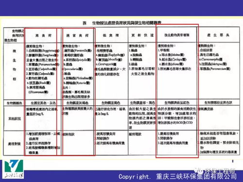 BOB半岛官网污水处理药剂公司排名(污水处理药剂生产厂家有哪些)(图2)
